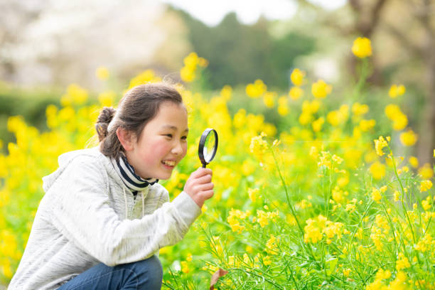 istock Girl looking at rape blossoms with a magnifying glass 1477518669