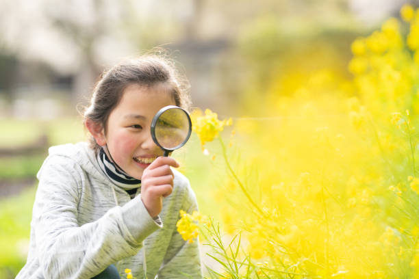 istock Girl looking at rape blossoms with a magnifying glass 1477518670