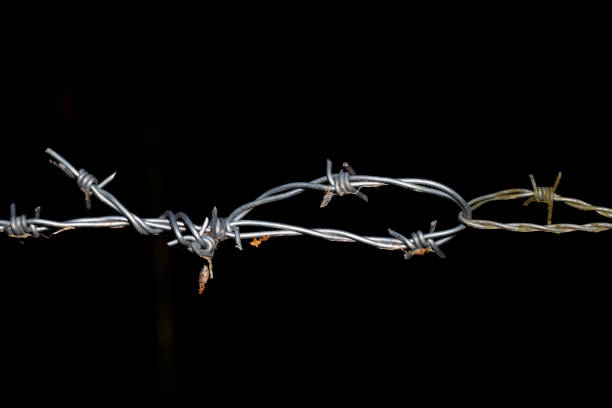 istock Rusty Barbed wire fence with black background 1477520179