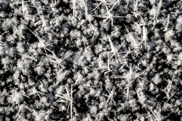 On the icy surface of the river, large crystals of hoarfrost and frost formed.