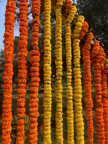 Stock photo showing a close-up view of orange and yellow marigold flower heads forming a public decorative display.