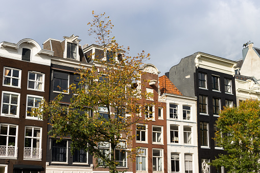 A row of beautiful old brick historical buildings and colorful trees during autumn in the Amsterdam Centrum district