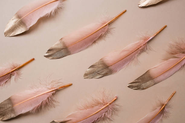 istock Delicate beige - gold feather. A pattern with golden feathers on a light beige background. View from above. Flat. 1477524762