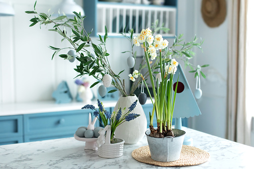 Daffodils in pot and branches tree olive in vase with easter eggs. Home interior with easter decor. Bouquet of flowers in vase and ceramic plates, plants in pots, utensil on table in kitchen. Template