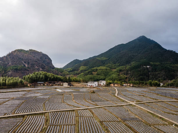 istock Farmland and mountain in cloudy weather 1477526496