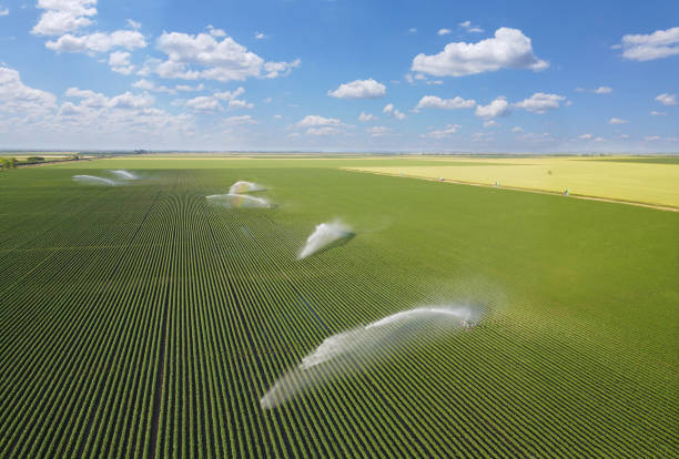 istock Irrigation system on agricultural soybean field 1477526525