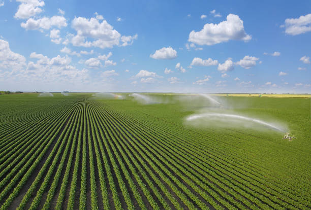 système d’irrigation sur champ de soja agricole - photography cloud plantation plant photos et images de collection