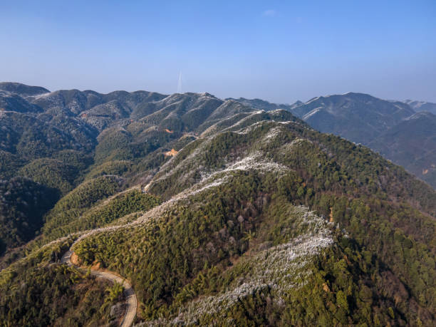 istock The mountain forest under the blue sky has a thin layer of rime 1477526913