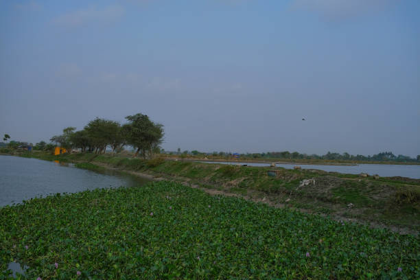 istock Water and landscape in harmony 1477528185