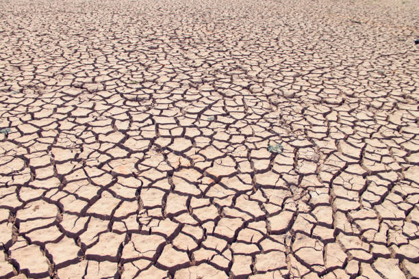 istock The drought land texture in Thailand. 1477528870