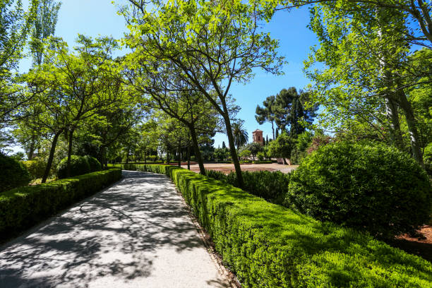 istock Footpath inside amazing garden inside Alhambra - amazing springtime 1477534972