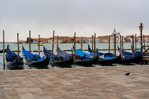 Set of gondolas on the Venetian quay