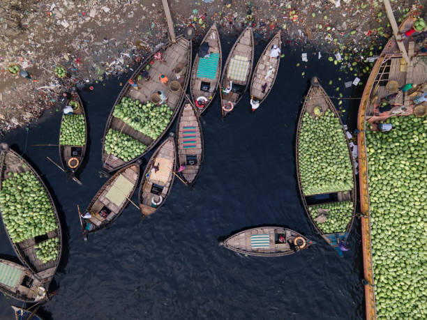 istock Workers unload watermelons from the boats using big baskets 1477537900