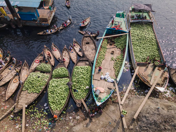 istock Workers unload watermelons from the boats using big baskets 1477538066