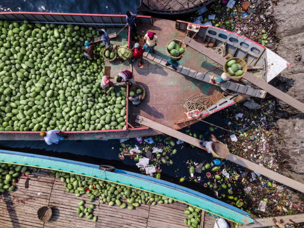 istock Workers unload watermelons from the boats using big baskets 1477538134