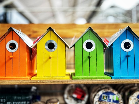 Colorful birdhouses in a row at the garden centre