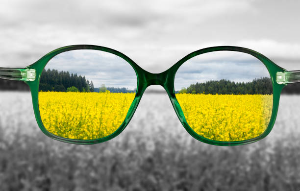 istock Green reading glasses against blurred background 1477539874