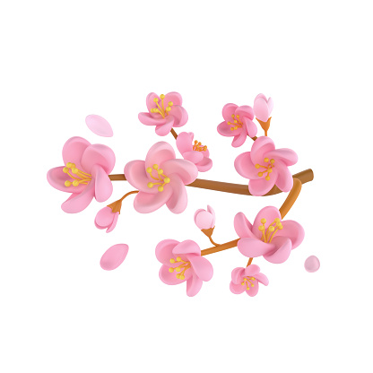 3D icon render spring Cherry Blossom Sakura branch illustration. Simple and cute petal isolated on white background with clipping path.