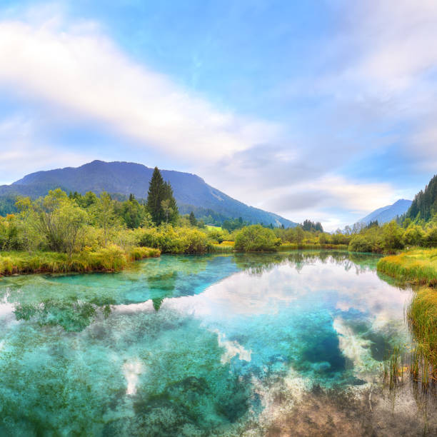 Fabulous summer view on Zelenci lake with beautiful reflections in water. Nature scenery in Triglav national park. Location: Triglav national park. Kranjska Gora, Slovenia, Europe.