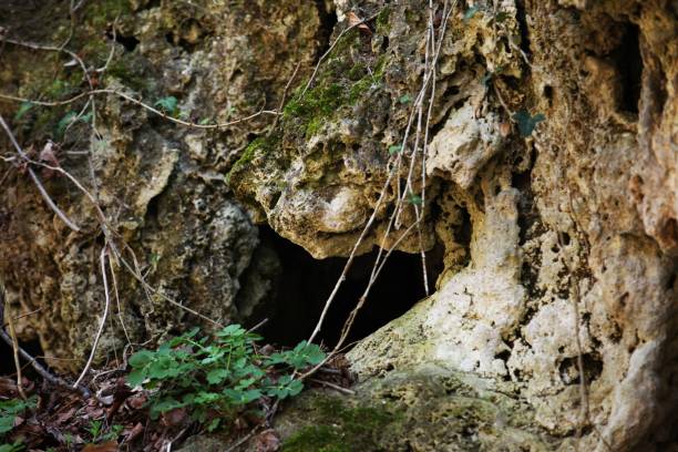 istock A hole in a cave with moss and greenery on the side 1477550147