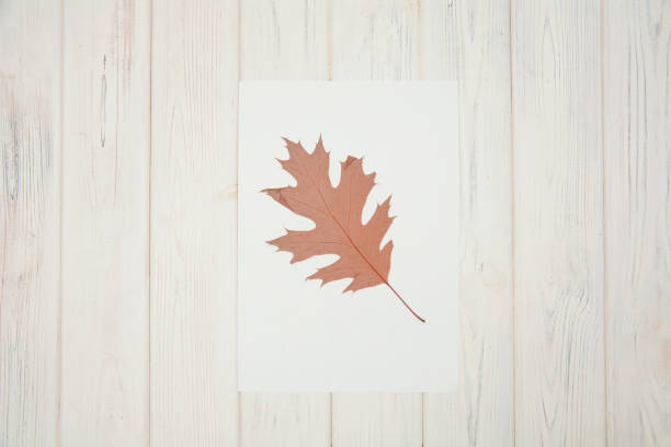 istock A beautiful pencil lies on a magical background 1477555150