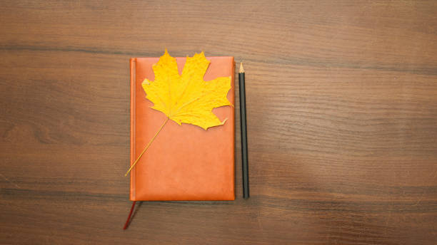 istock A beautiful pencil lies on a large notebook 1477555173