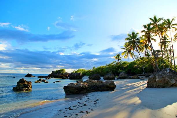 istock Tropical beach with palm trees and rocks 1477559729