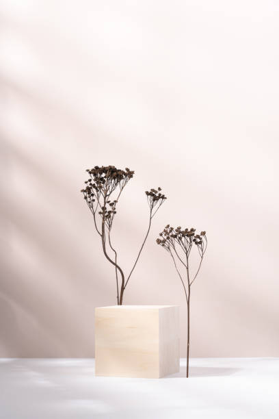 istock Wooden cube podium with dry plant on light beige background 1477560582
