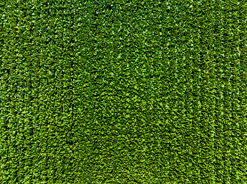 Harvester agriculture Combine machine harvesting golden ripe corn field. Agriculture background. From above. Aerial view.