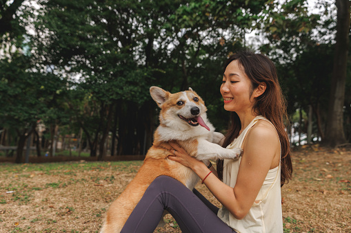Waist up half length shot of young smiling Asian woman hugging and kissing her pet Corgi dog lovingly while sitting on grass in the park. The woman is looking at the dog.\n\nYoung happy Asian female enjoying the nature and the day, relaxing and having fun with her pet dog in a public park.