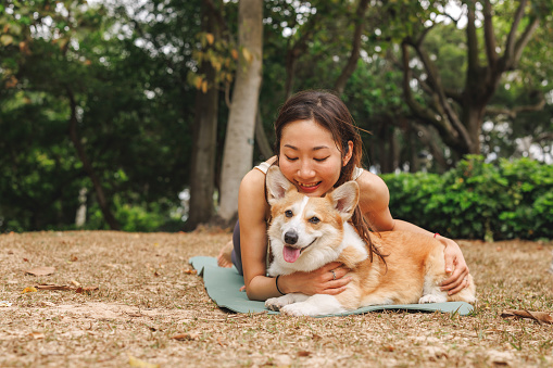 Front shot of young smiling Asian woman hugging and kissing her pet Corgi dog lovingly while laying on mat on grass in the park. The woman is looking at the dog.

Young happy Asian female enjoying the nature and the day, relaxing and having fun with her pet dog in a public park.
