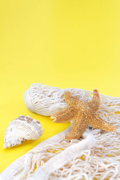 istock Starfish, shells with bag string, fishnet on yellow background. Vertical. Concept of summertime, vacation, travel. Copy space 1477563864