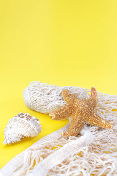 Starfish, shells with bag string, fishnet on yellow background. Vertical. Concept of summertime, vacation, travel. Copy space Starfish, shells with bag string, fishnet on yellow background. Vertical. Concept of summertime, vacation, travel. Copy space shell starfish orange sea stock pictures, royalty-free photos & images