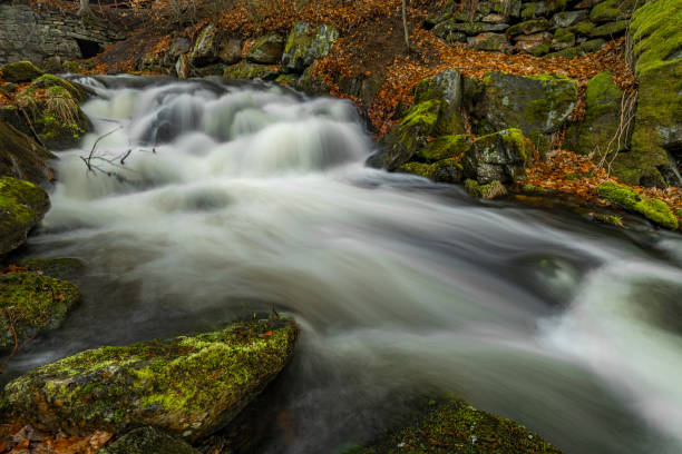 istock Bila Opava river in Jeseniky mountains in spring morning 1477565942