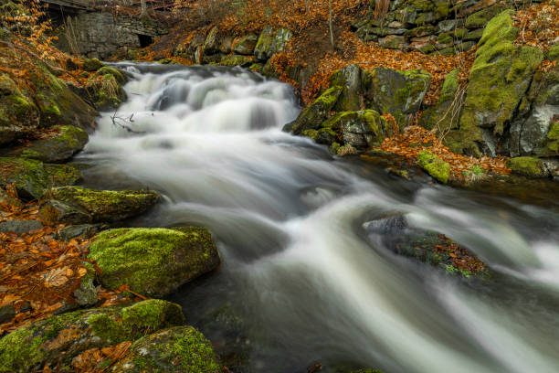 istock Bila Opava river in Jeseniky mountains in spring morning 1477565966