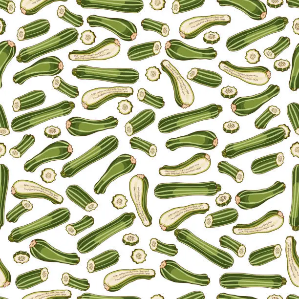 Vector illustration of Seamless pattern with Costata Romanesco squash or Ribbed Roman. Cocozzelle. Courgette or marrow. Summer squash. Fruit and vegetables. Cartoon style. Vector illustration isolated on white background.