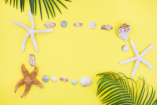 Starfish, shells in form of frame with palm tree on yellow background. Vacation, travel concept. Copy space
