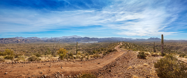 Narrow, winding, dirt road through the Four Peaks Wilderness Area, Tonto National Forest, Arizona