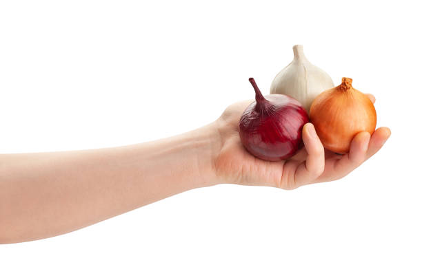 istock colorful onions in hand 1477570996
