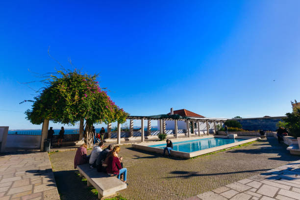 a patio with trees and a swimming pool which also serves as a viewing platform for tourists