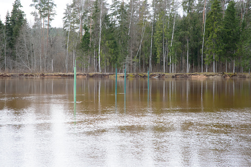 a flooded nature trail in an outdoor park, where in the spring you can see the iron rods used to strengthen the volleyball nets in the water