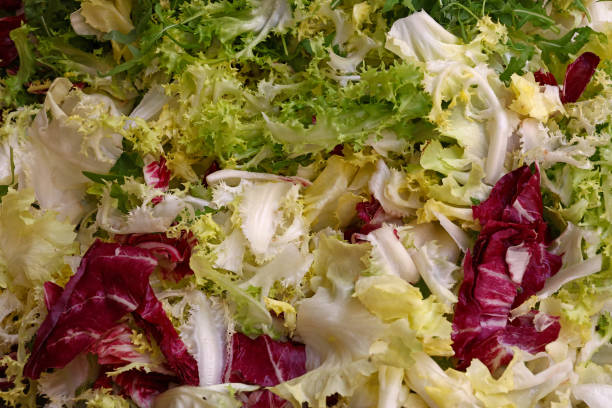 istock Heap of fresh mixed lettuce salad 1477576436