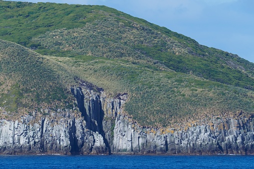 One of the rugged, unpopulated headlands of the Cape Horn Archipelago, showing the basalt rocks of the sea-cliffs, with Tussock Grass (Festuca gracillima) dominating the landscape above