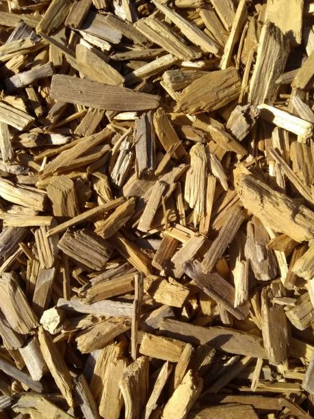 istock Close up of wood chips in the sun 1477580976