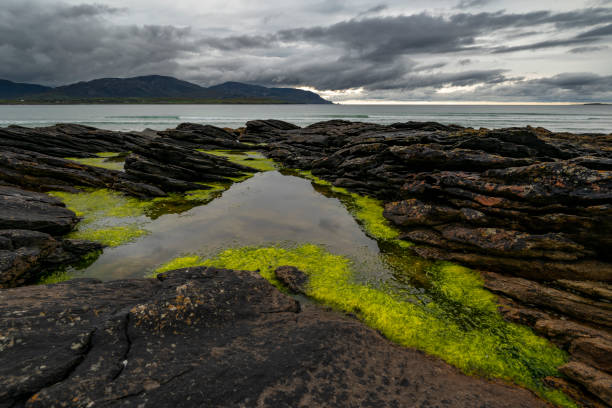 Tide pool on the rocks near Tramore beach, Donegal, Ireland Rocks and tidal pool with green algae at Tramore beach, Kiltoorish, County Donegal, Ireland tidal pool stock pictures, royalty-free photos & images