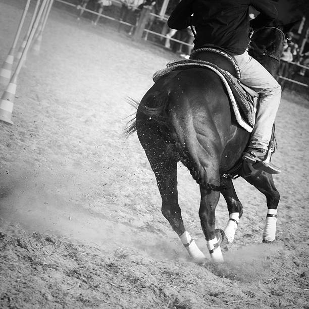 istock Horse in action 147758114