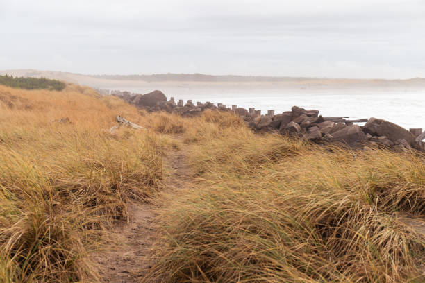 istock Footpath Through Beach Dunes to Jetty Along Pacific Ocean 1477581915