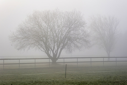 Fog on a cold morning in rural countryside