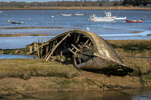 Abandoned derelict fishing boat now a part of the riverbank