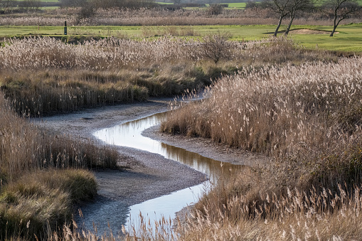 Almost dried up stream winding through marshes